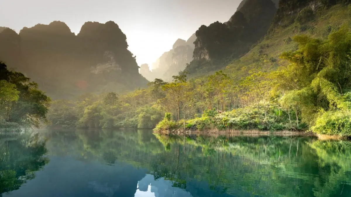 工业科技独特